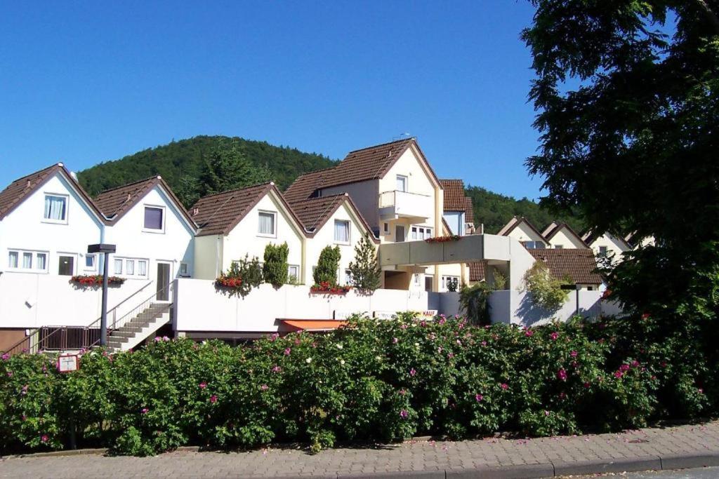 Seeblick Geniessen In Schoener Fewo Am Edersee Scheid  Exterior photo